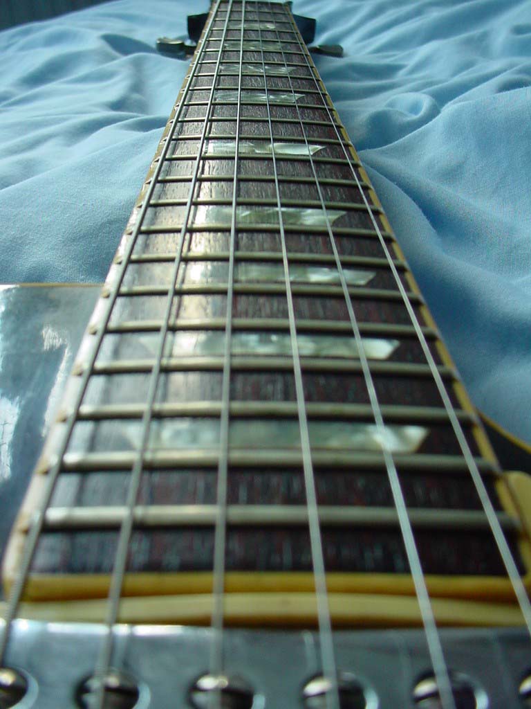 frets